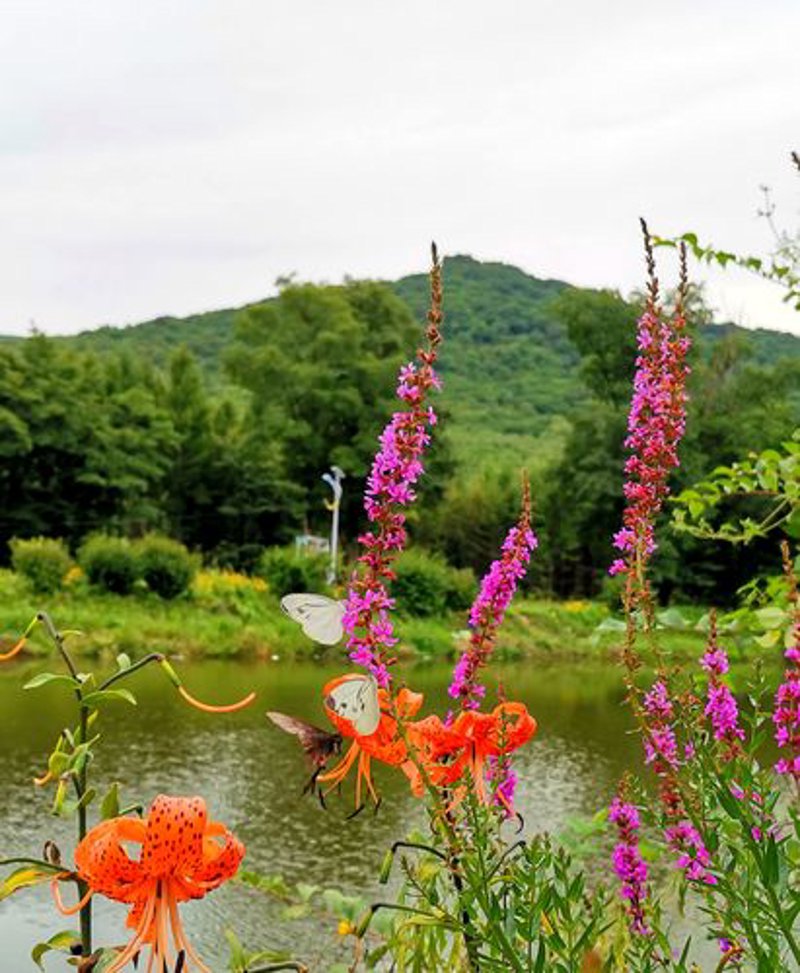 湖滨山庄团建